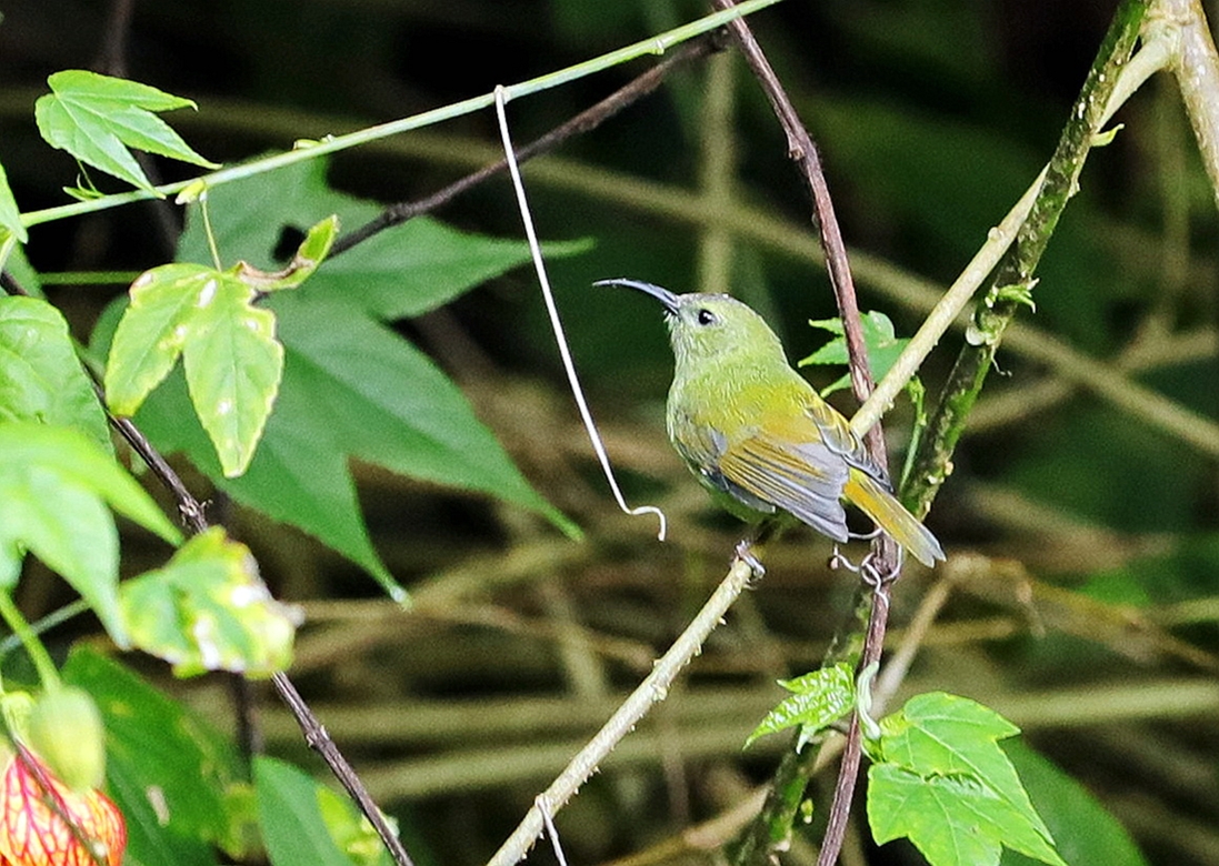 BK2A8767.JPG