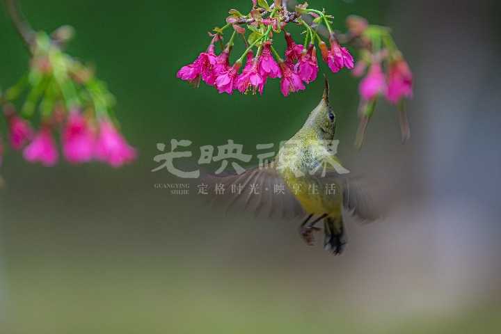 D1372F66-906F-4B5C-9C51-89BD67F967F9.jpeg