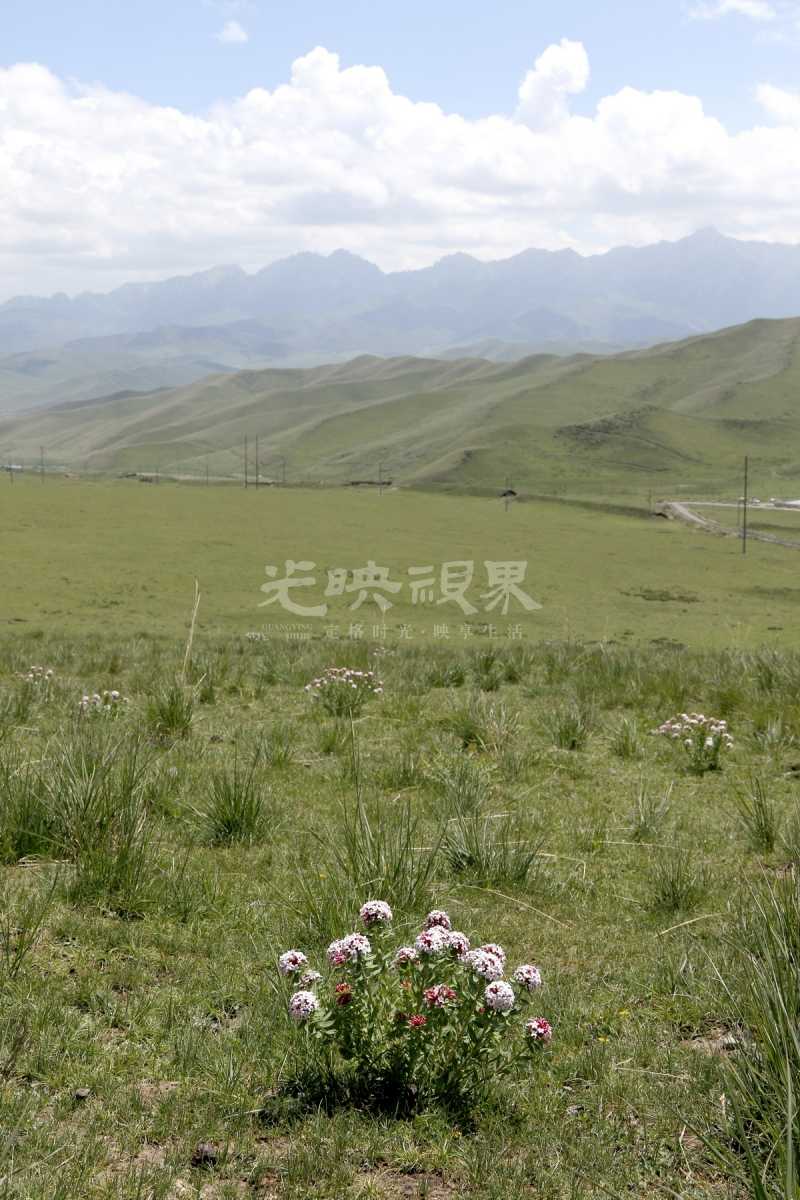 _D2A8991.JPG