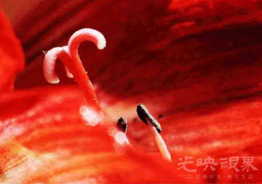 psc (1) 拷贝.jpg