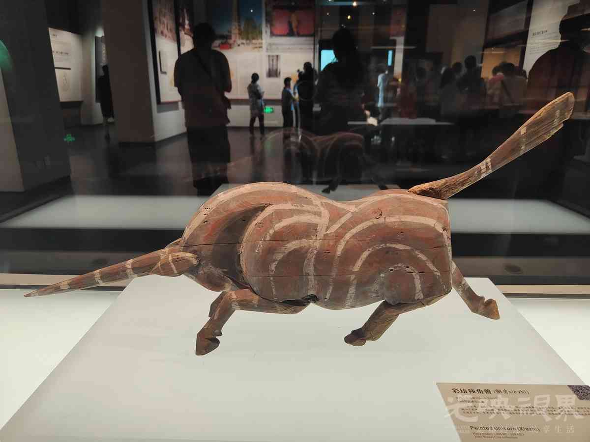 Image464.jpg