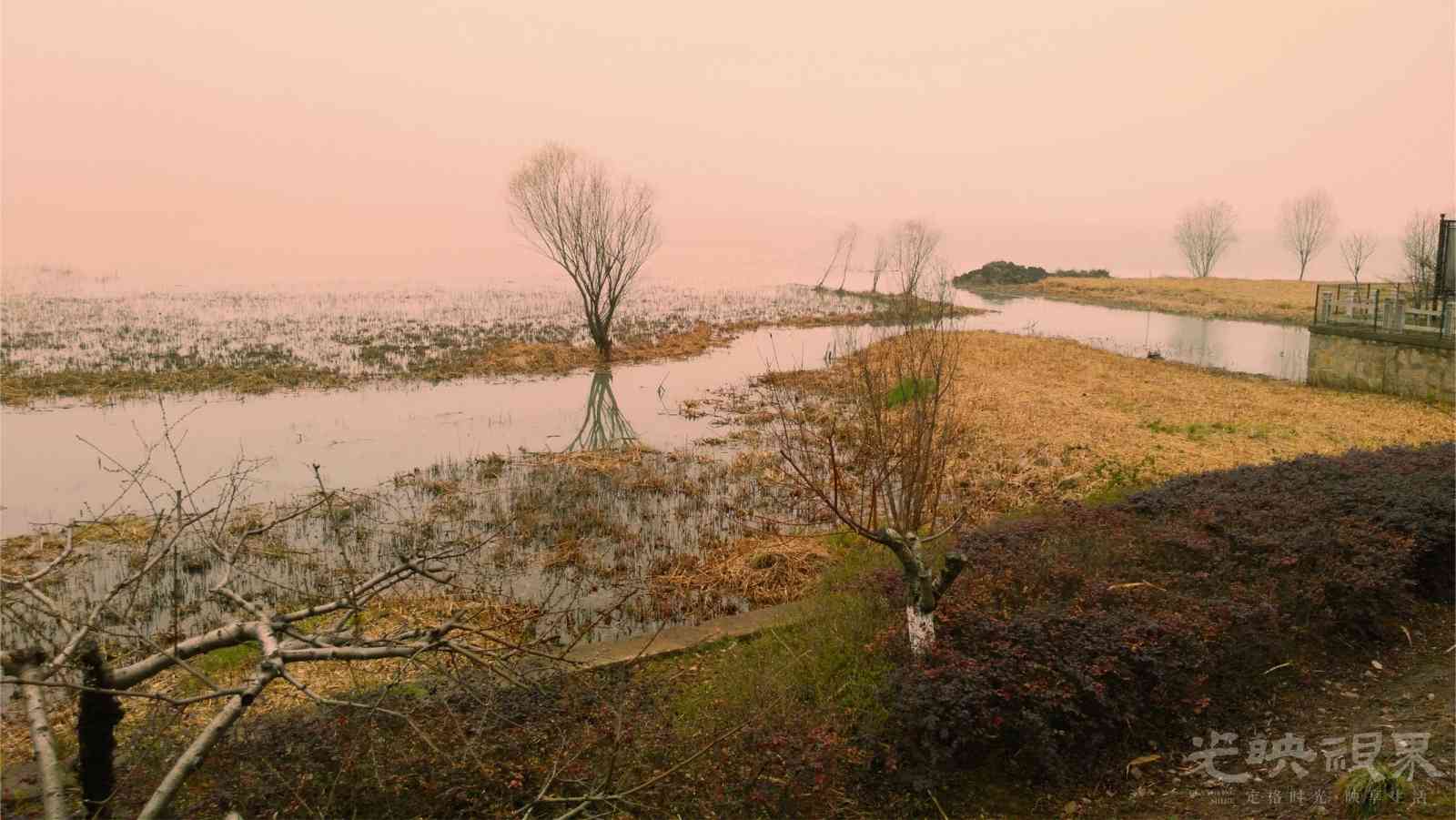 20150315东太湖001.jpg
