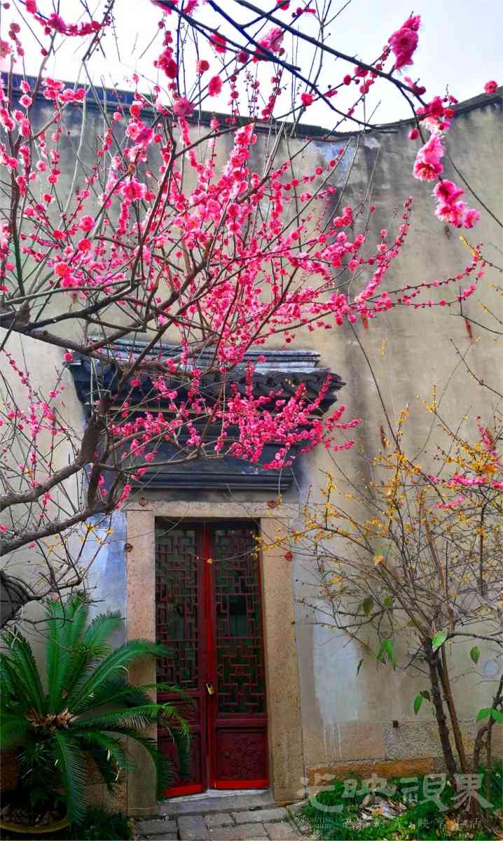 20180227嘉兴梅湾街010.jpg