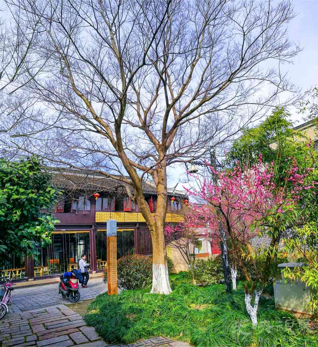 20180227嘉兴梅湾街009.jpg