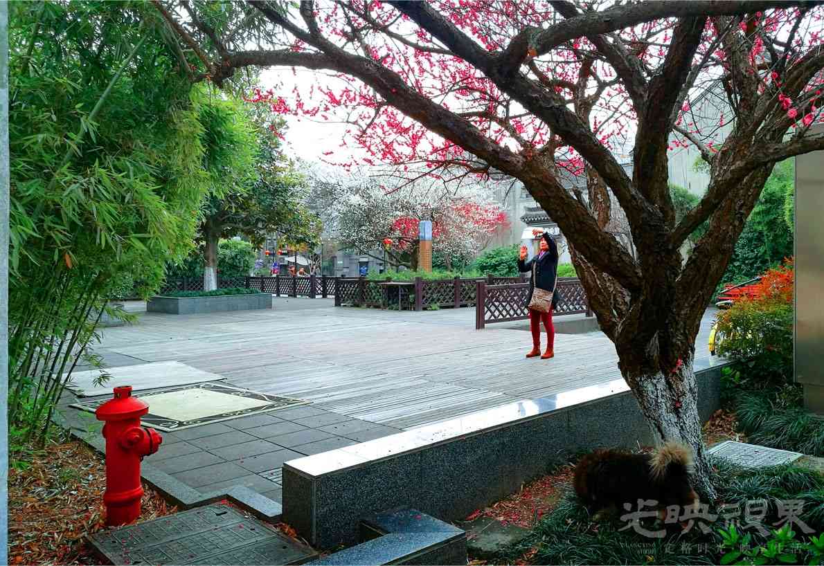 20180227嘉兴梅湾街015.jpg