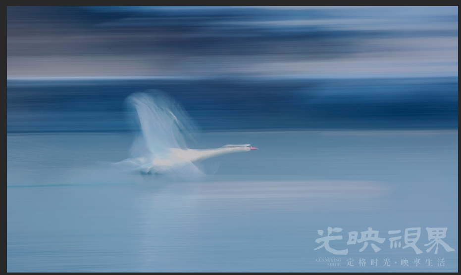 7705544e2d8490bbd775ac45dd73a73a.png