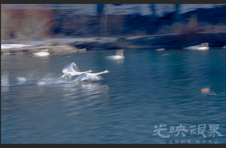 ea4dd94a815e2a8cf2a8539644755605.png