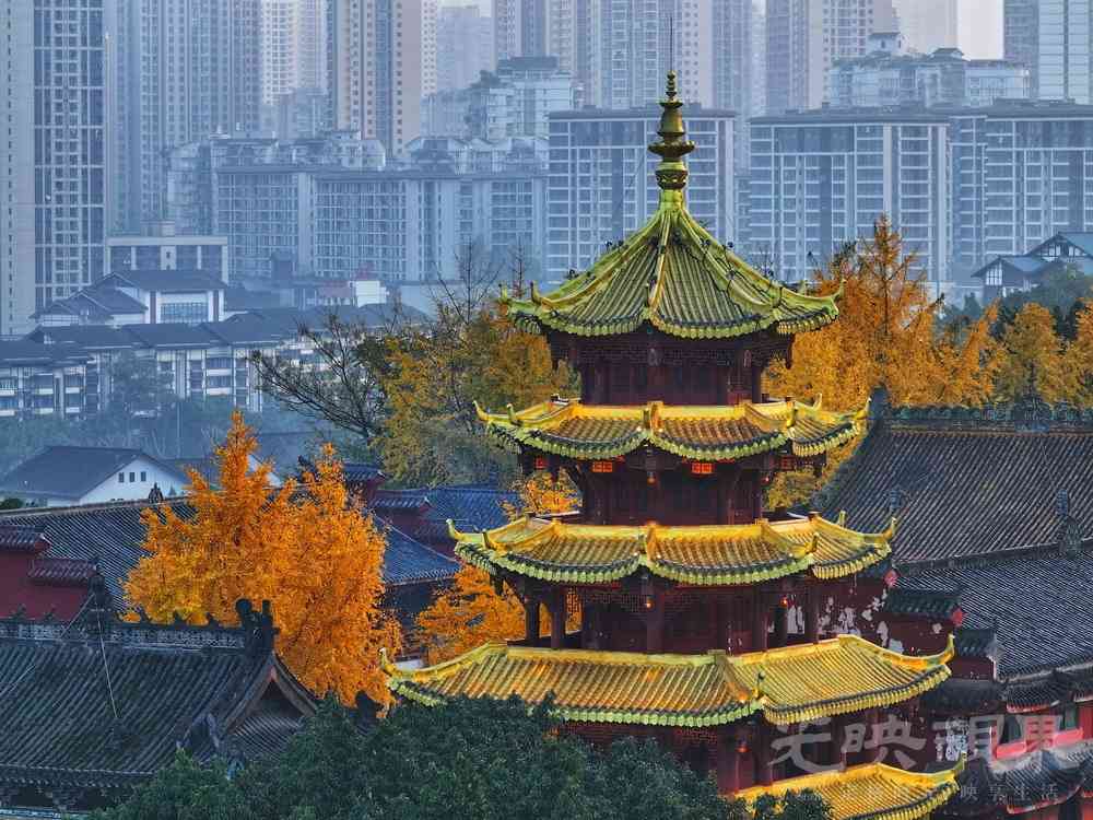 008《冬日里的秋色》-刘琳-13983265860-2024年12月15日，沙坪坝区磁器口古镇宝轮寺，.jpg