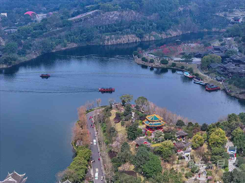 009《春意融融园博园》-刘琳-13983265860-2024年3月2日，三月的重庆园博园百花盛开、.jpg