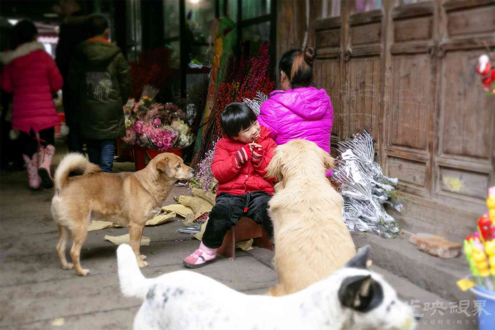 20190204嘉兴月河010.jpg