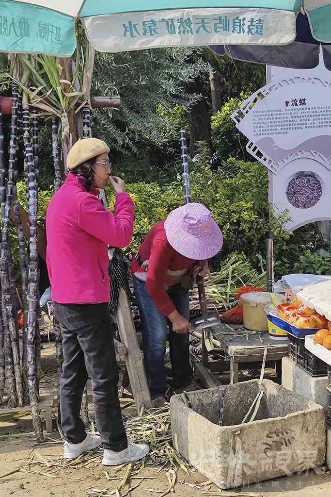龙祥岛渔耕风情街掠影031024.jpg