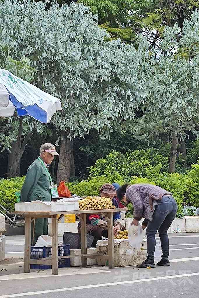 龙祥岛渔耕风情街掠影0101024.jpg