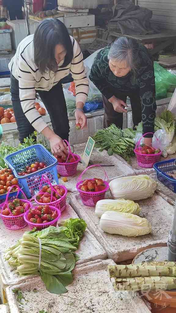 挑选草莓S1024.jpg