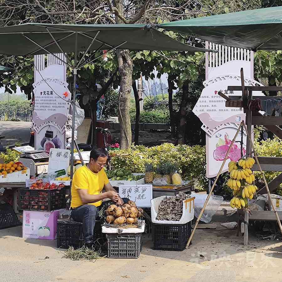 龙祥岛渔耕风情街掠影08900.jpg
