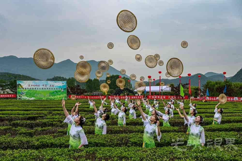 009《茶园欢歌》李耀民13972223939.jpg