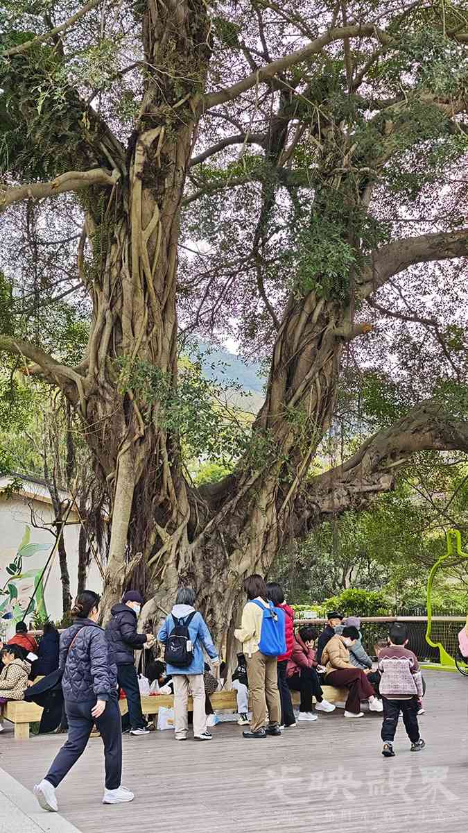 三江口植物园0061200.jpg