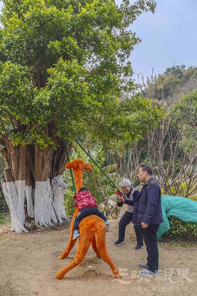 三江口植物园00171024.jpg