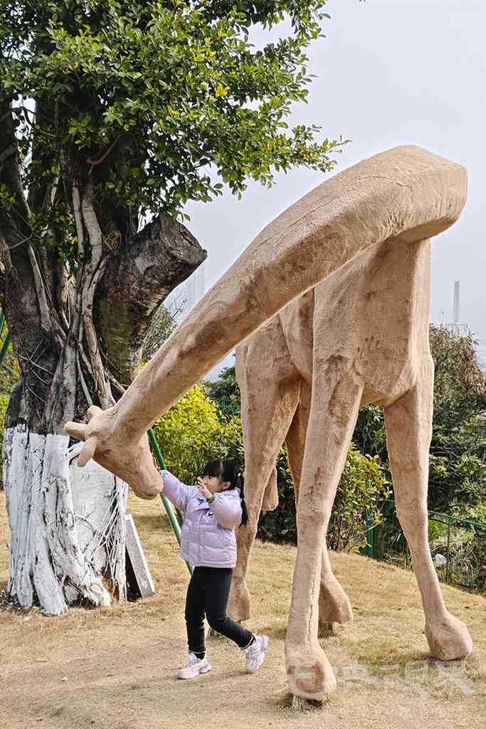 三江口植物园00181024.jpg