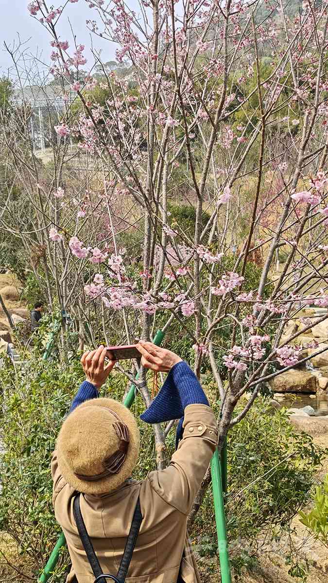 三江口植物园00191200.jpg