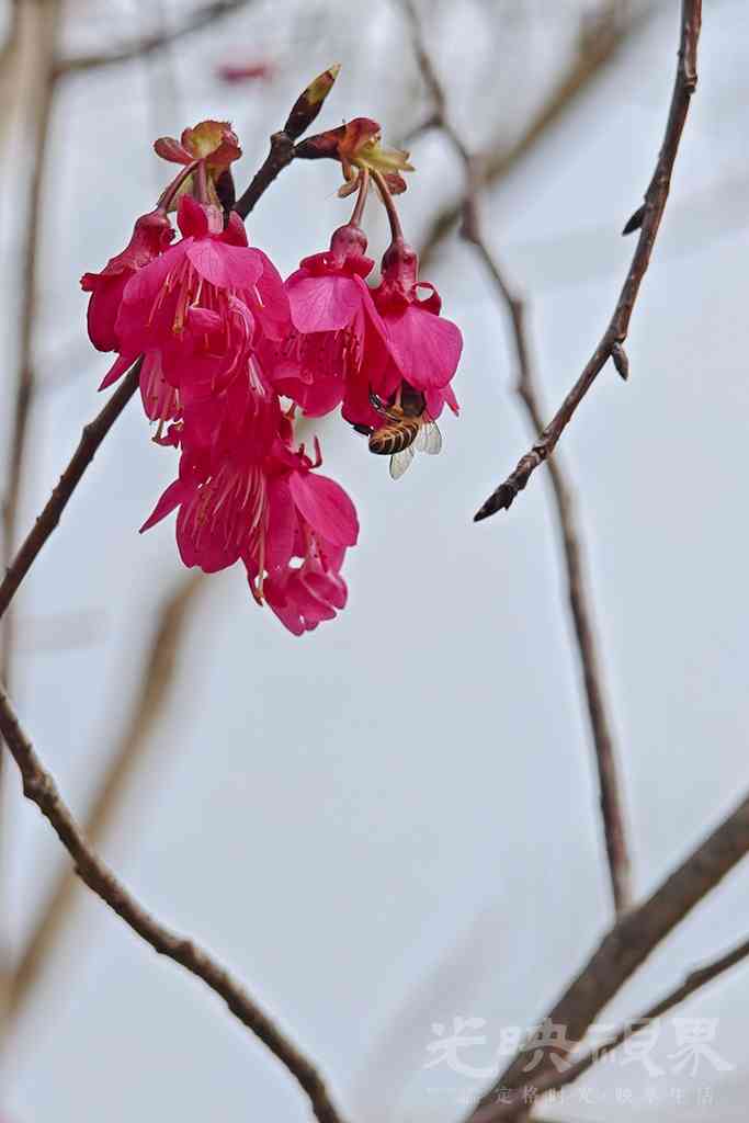 三江口植物园00211024.jpg