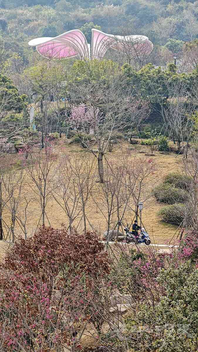 三江口植物园00241200.jpg