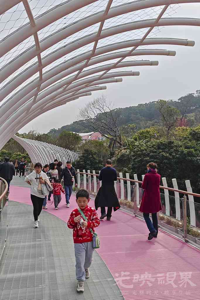三江口植物园00271024.jpg