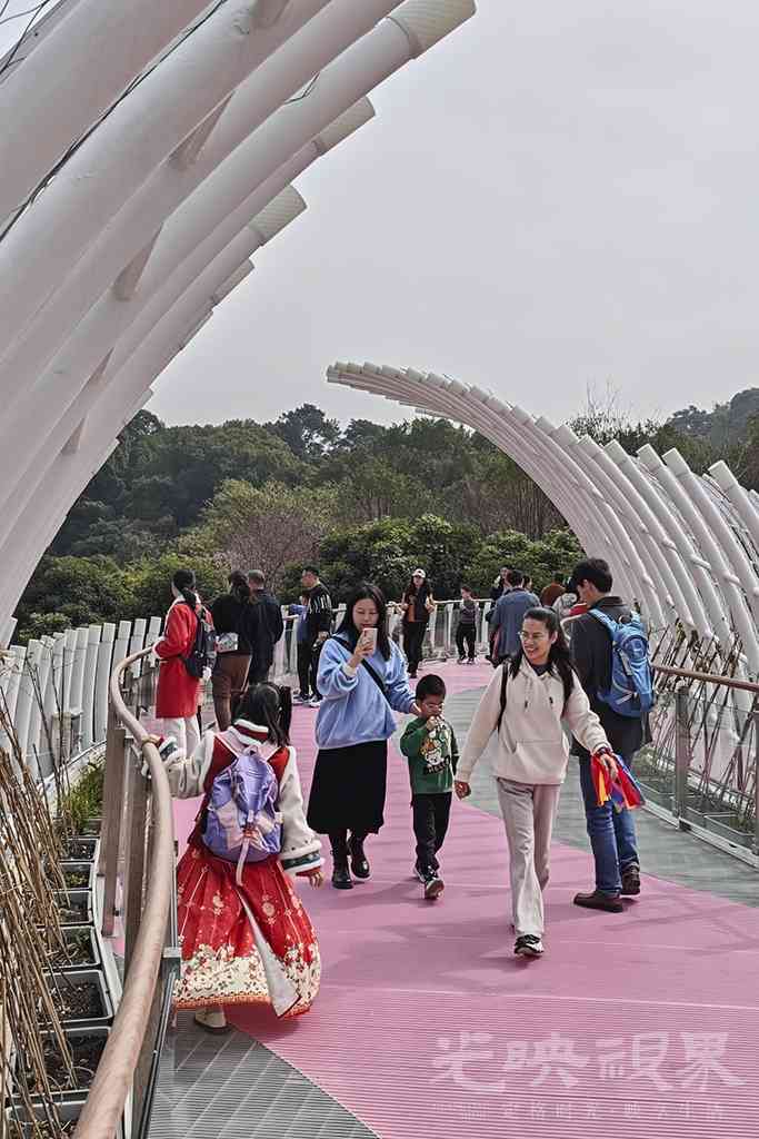 三江口植物园00281024.jpg