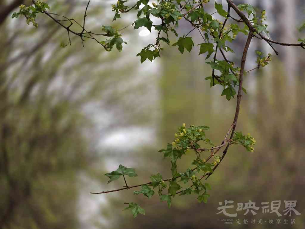 c44cfe6407a8acc2a560edab880663c6_origin(1).jpg