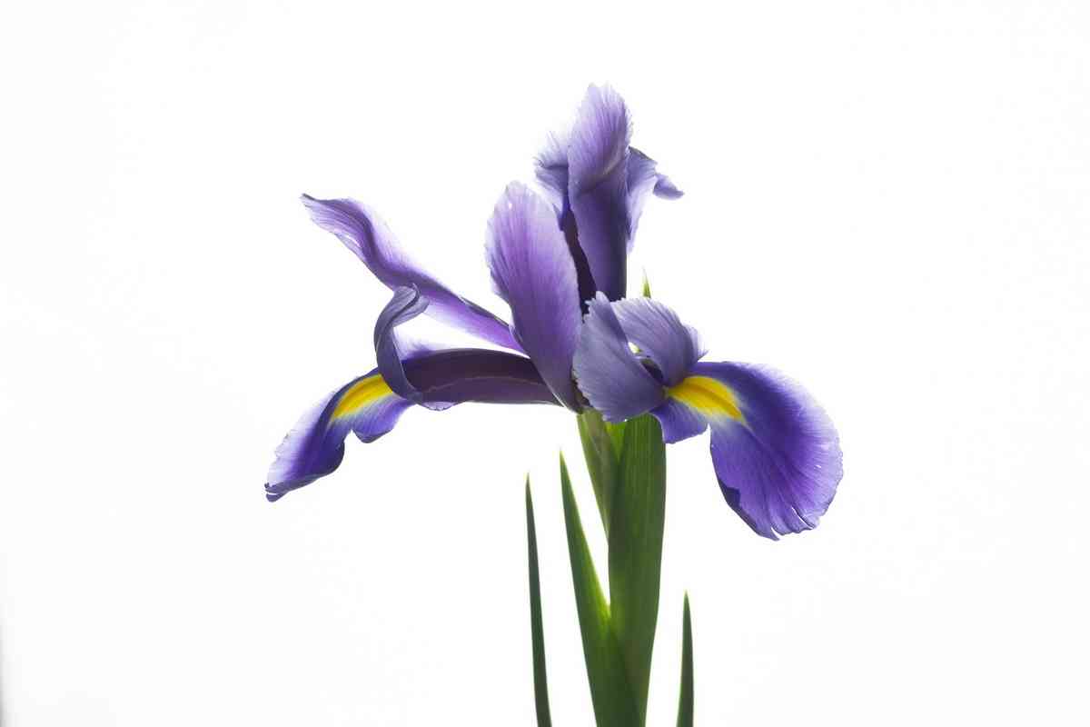 0A0A3080.jpg
