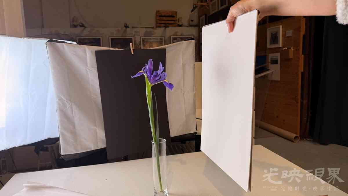 flower-bts2-1920x1080.jpg