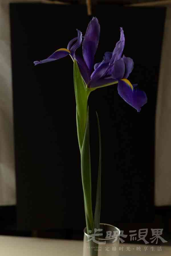 0A0A3091.jpg
