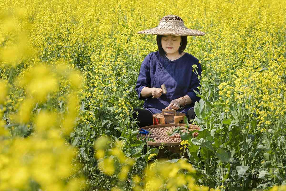 1《非遗技艺敲开“共富门”》2025年3月26日，浙江杭州市临安区龙岗镇妇联执委、山核桃敲仁技术非遗传承人、 ...
