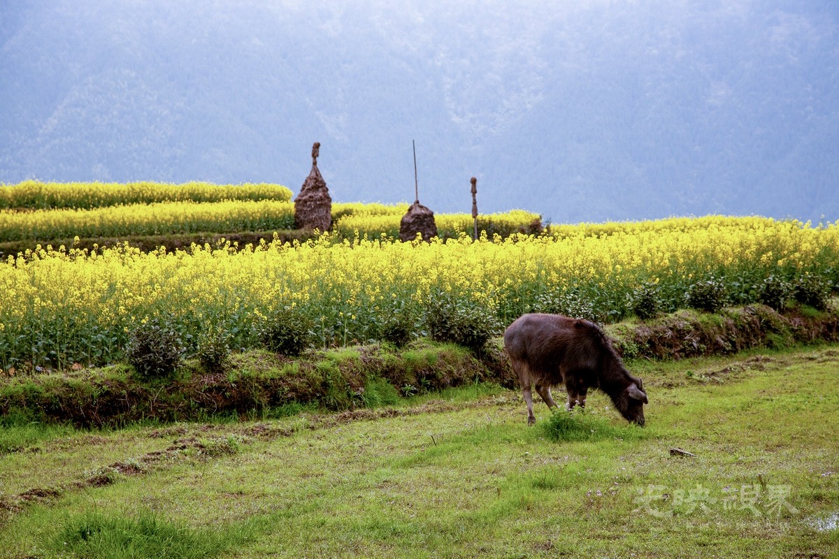 VCG111422480818.jpg