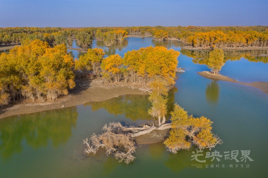 DJI_0008_副本.jpg