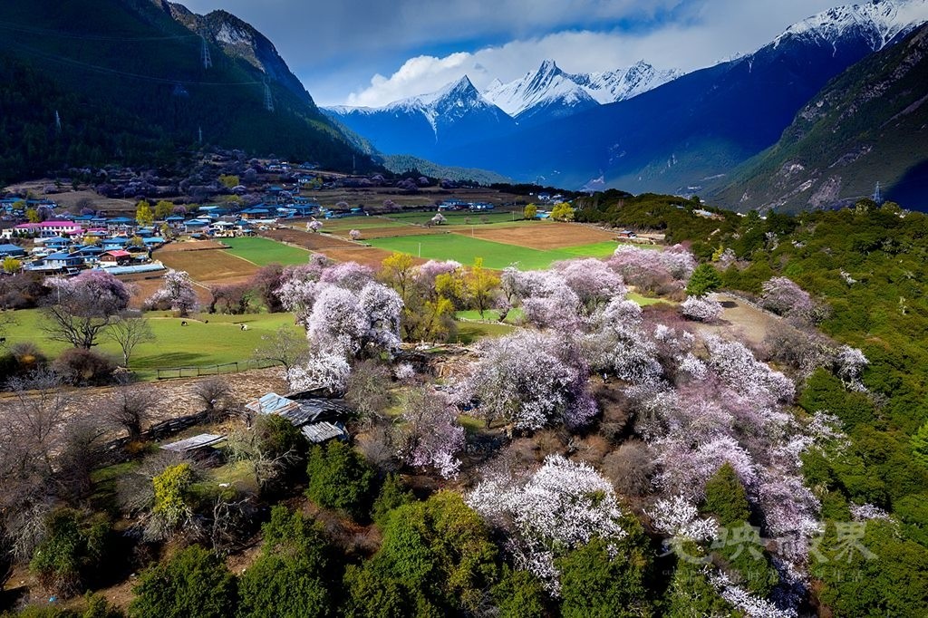 DJI_0193_副本.jpg