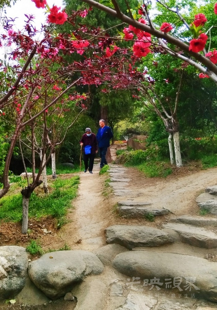 MEITU_20250410_004200090.jpg