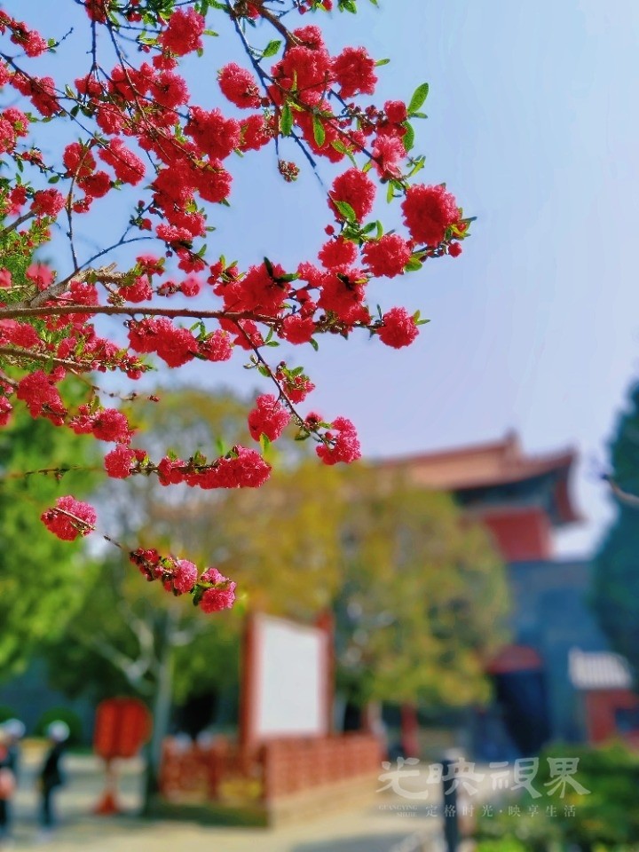 MEITU_20250410_203451570.jpg