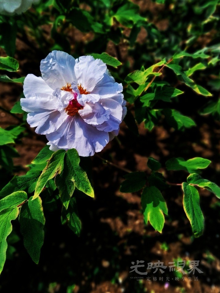MEITU_20250410_003050817.jpg