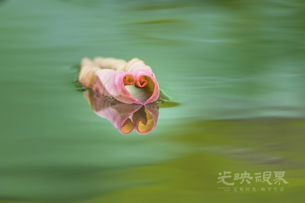 IMG_1358_副本.jpg