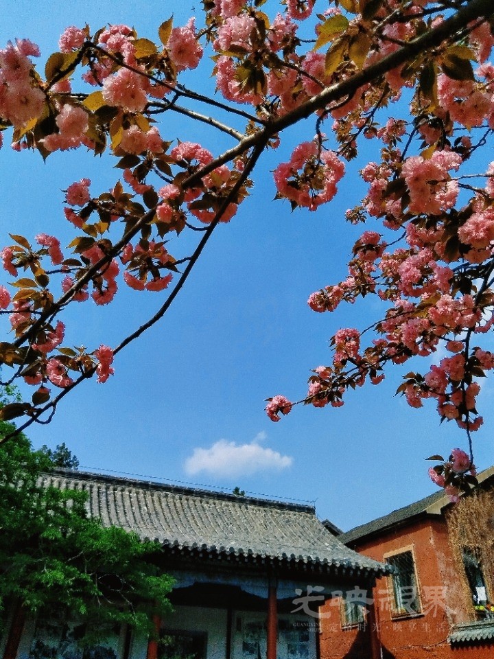 MEITU_20250410_205830550.jpg