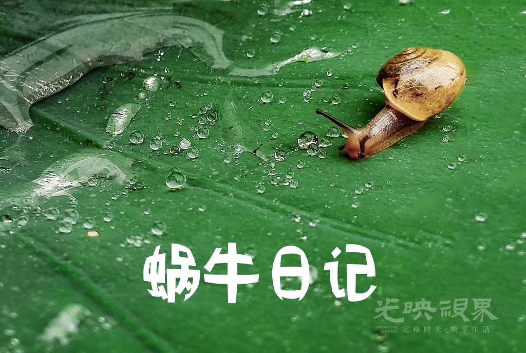conew_1蜗牛日记.jpg