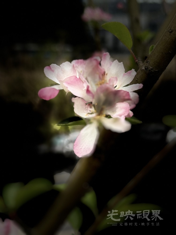 IMG_0459.jpeg