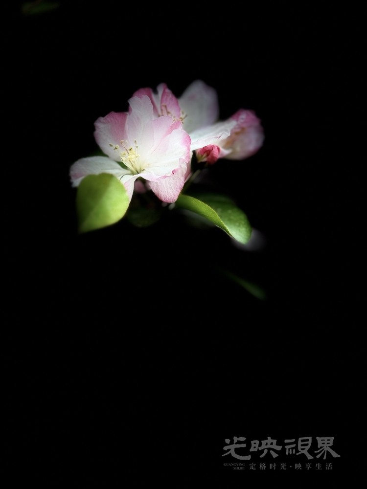IMG_0464.jpeg