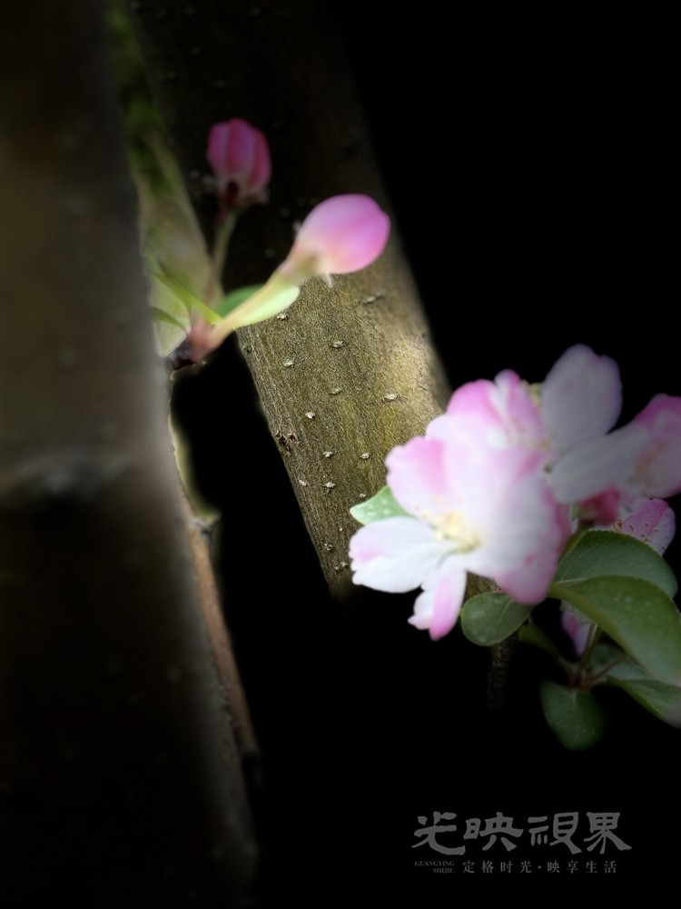 IMG_0466.jpeg