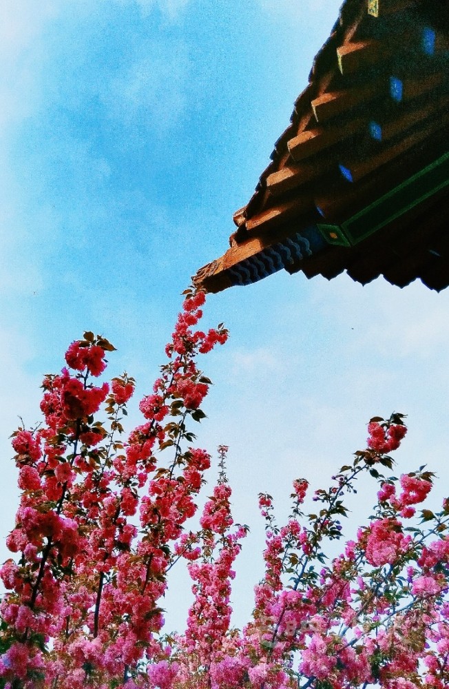 MEITU_20250413_212953330.jpg