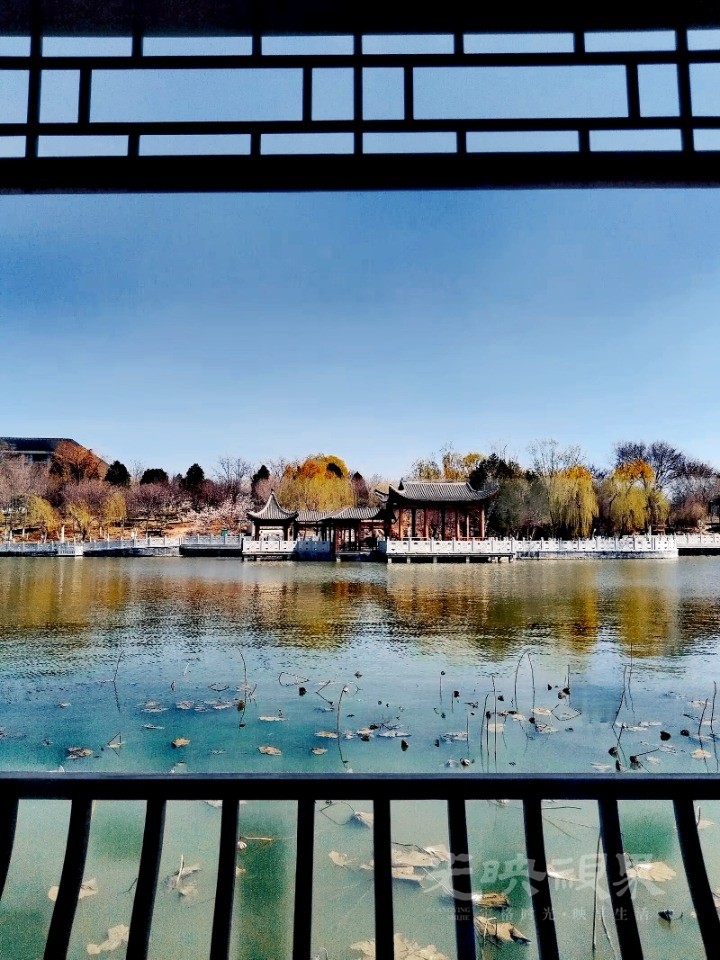 MEITU_20250414_234045311_edit_180050118843084.jpg