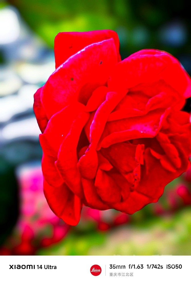 IMG_20250415_183855.jpg