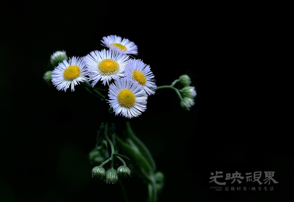 DSCF2579_副本_副本.jpg