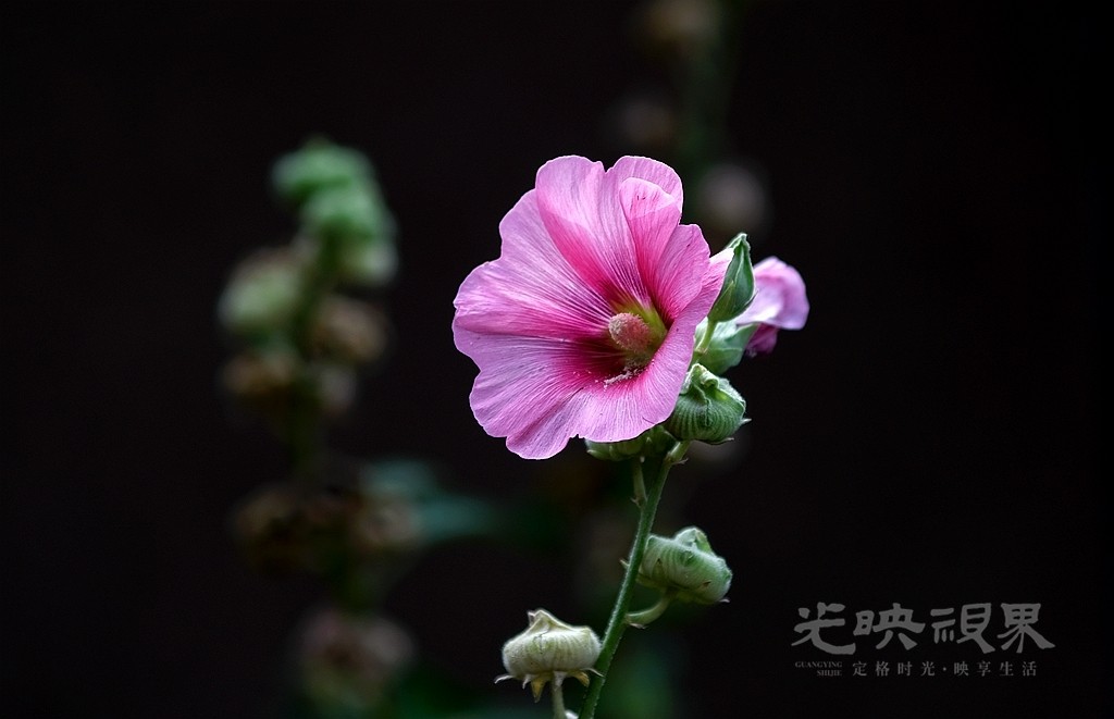 DSCF9294_副本_副本_副本.jpg