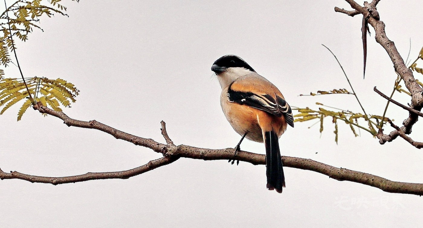 BK2A9258.JPG